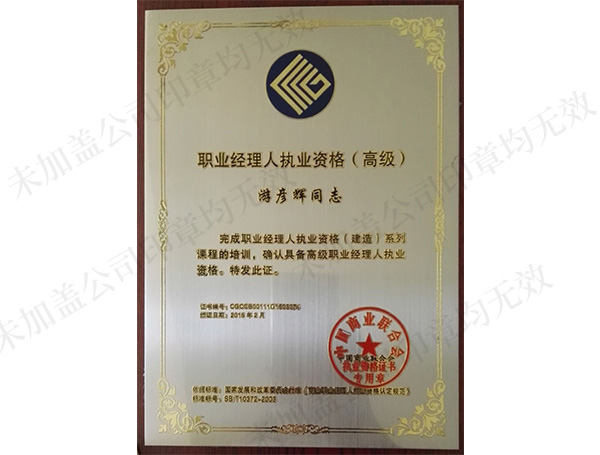 職業(yè)經(jīng)理人